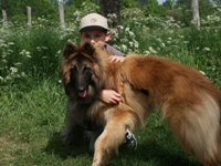 Panikhund Lucky