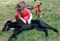 Junghundetraining mit Kind Hundeschule Kaiser